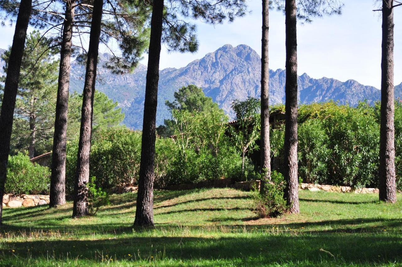 Domaine Codaleone Serriera  Екстер'єр фото