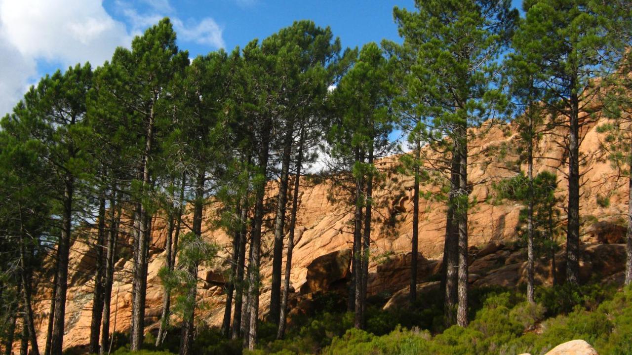 Domaine Codaleone Serriera  Екстер'єр фото