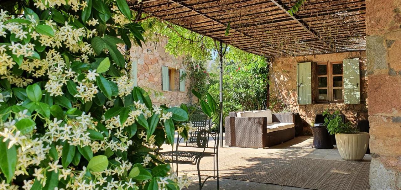 Domaine Codaleone Serriera  Екстер'єр фото