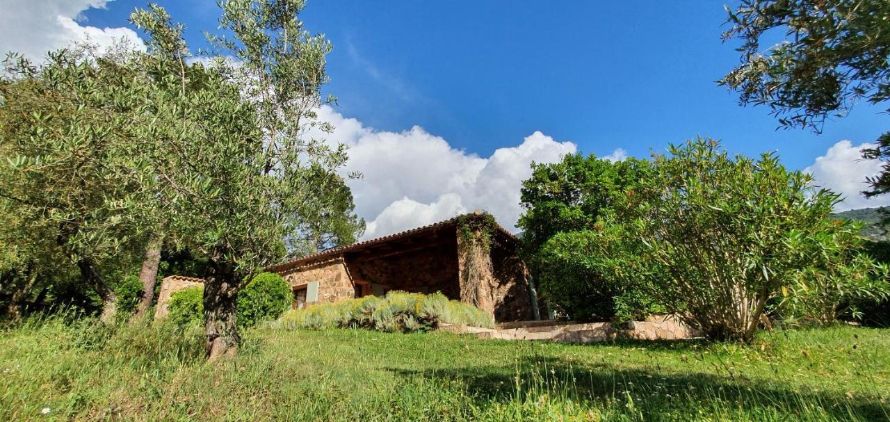 Domaine Codaleone Serriera  Екстер'єр фото