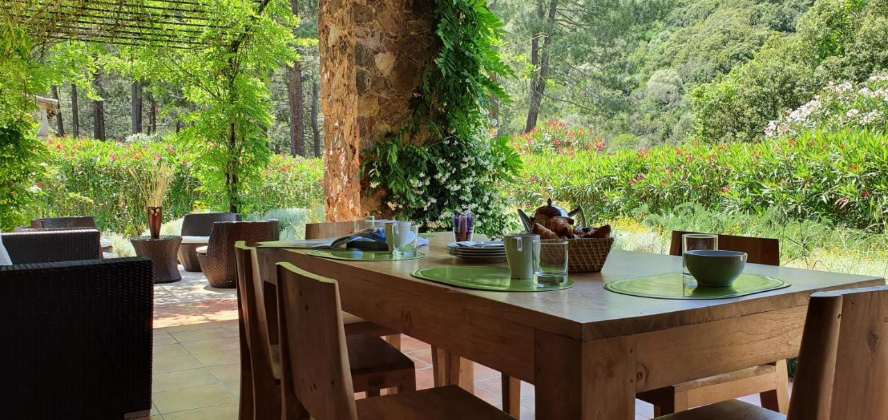 Domaine Codaleone Serriera  Екстер'єр фото