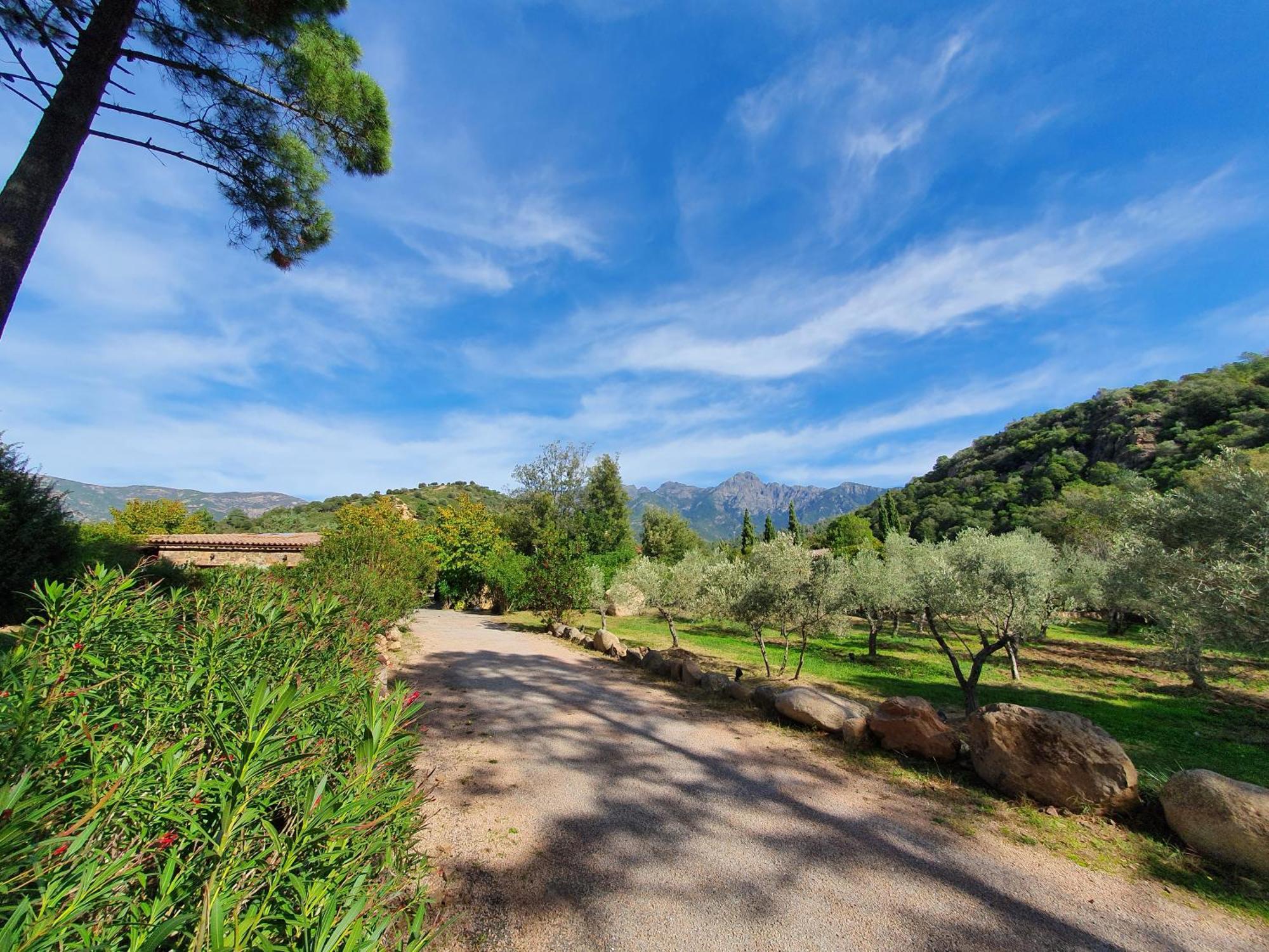 Domaine Codaleone Serriera  Номер фото