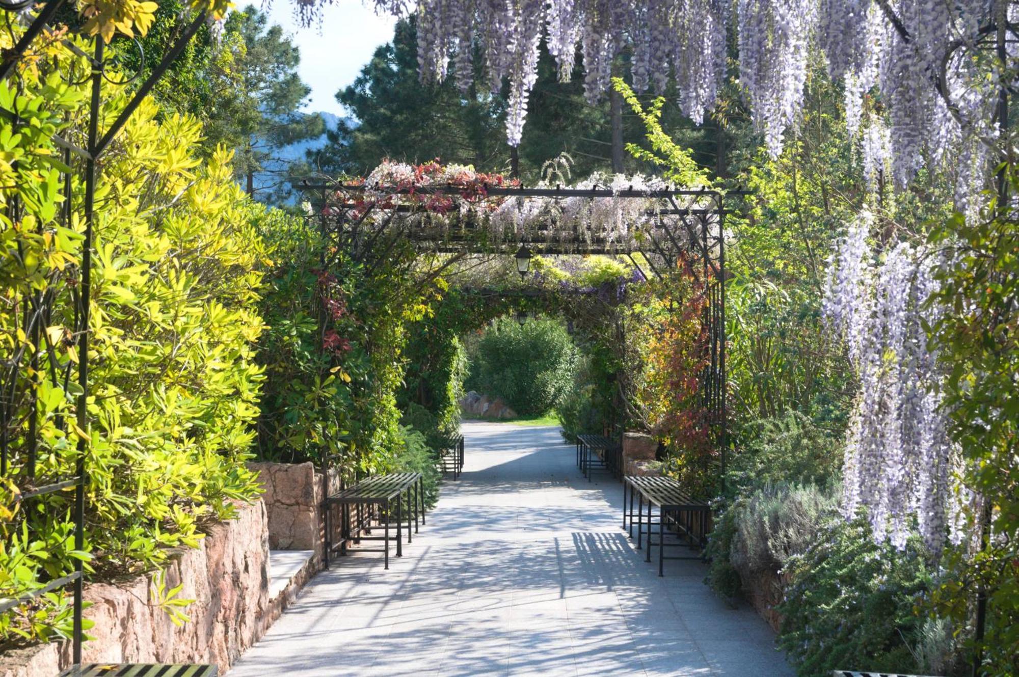 Domaine Codaleone Serriera  Номер фото